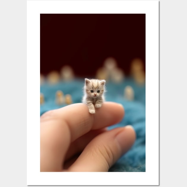 Tiny kitten deals